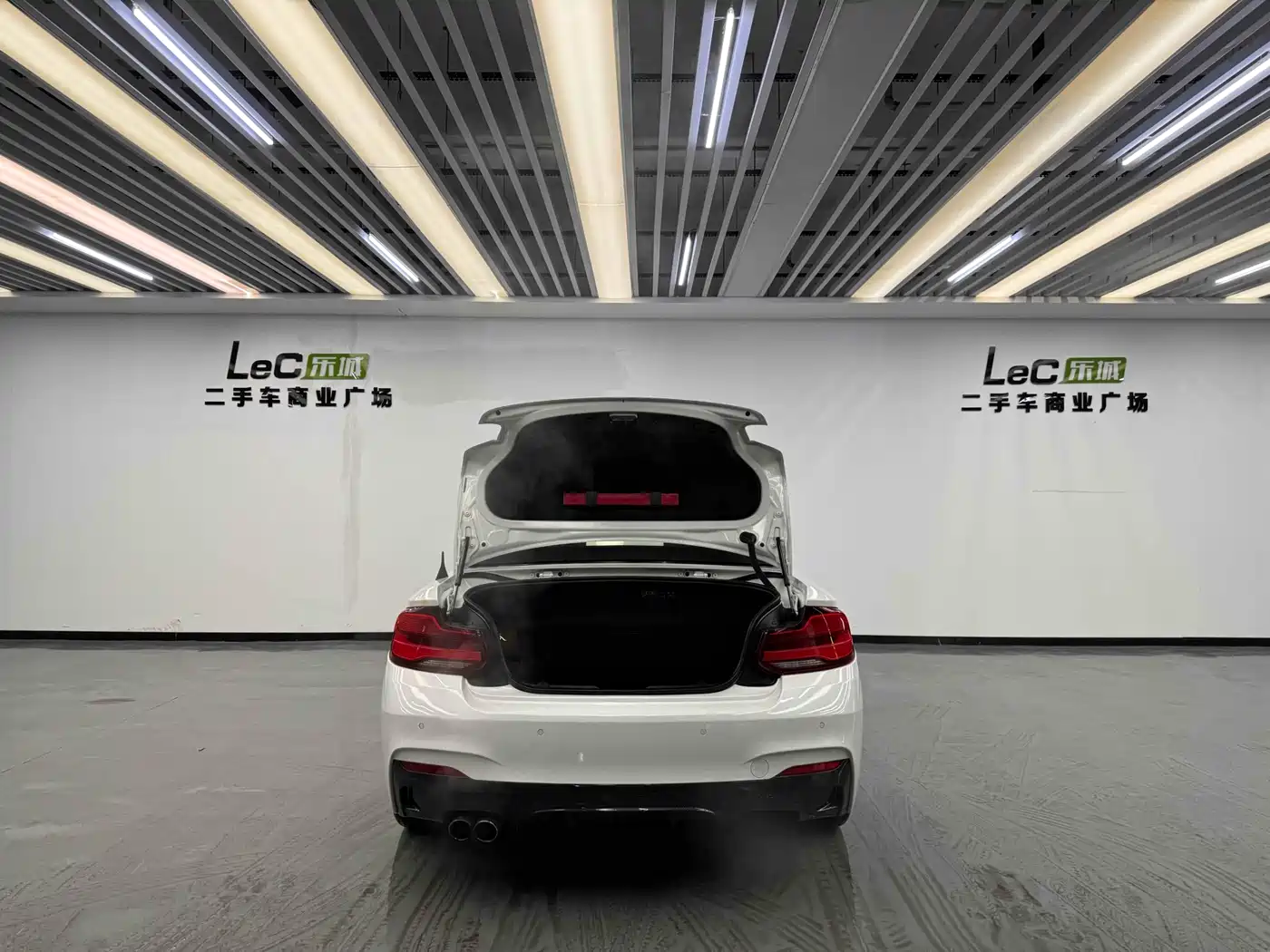 BMW 2 Series (Import) 2018 225i Convertible Coupe Premium M Sport Package фото 9