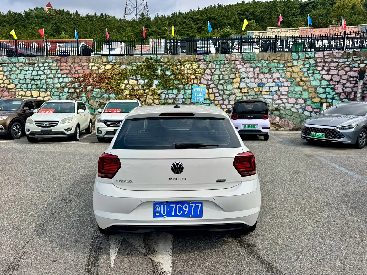 Volkswagen Polo 2023 2023 Plus 1.5L Automatic Colorful Tech Edition