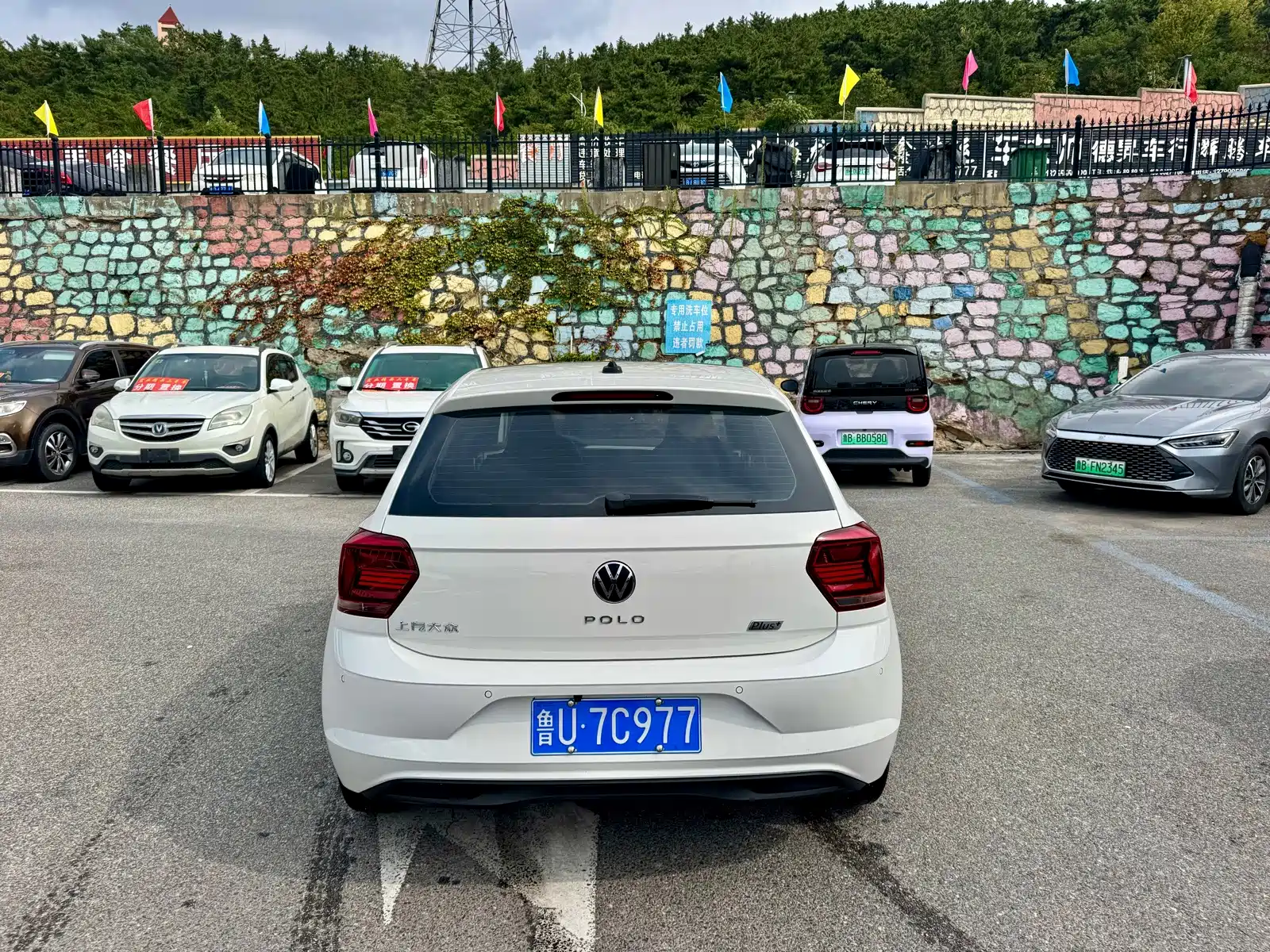 صورة 8 - Volkswagen Polo