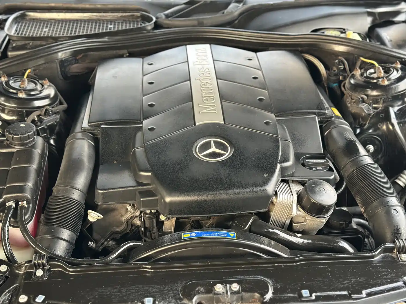 Mercedes-Benz S-Class 2004 S 500 фото 16