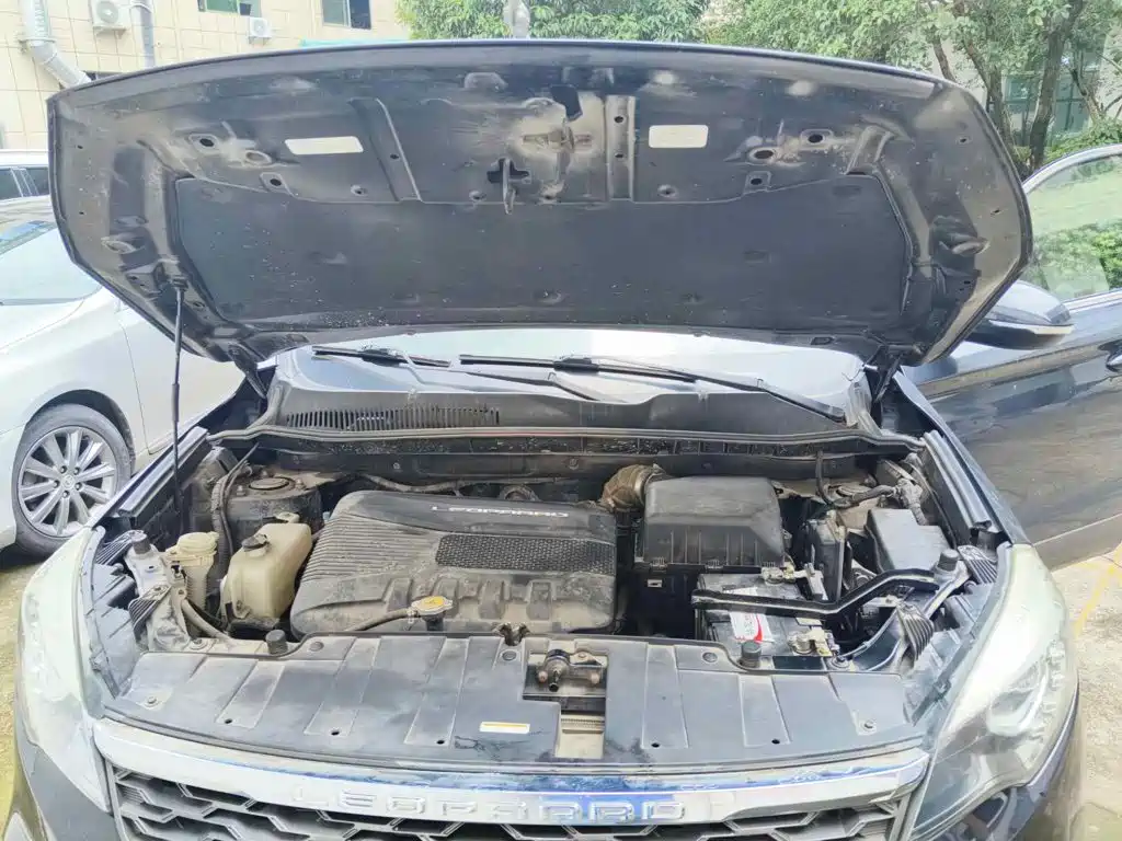 Leopaard CS10 2017 2017 1.5T CVT Prestige
