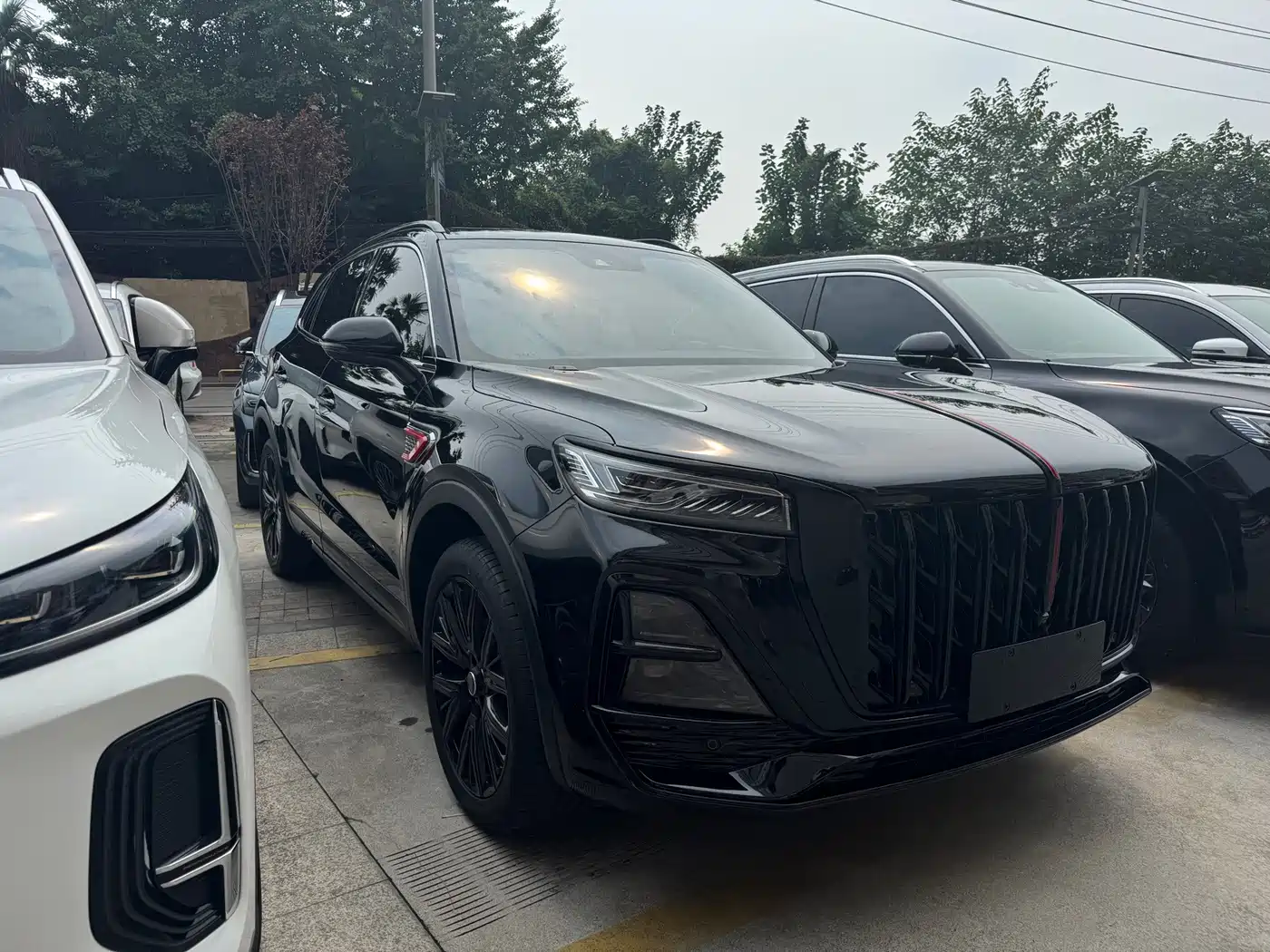 Hongqi HS5 2025 2025 2.0T 2WD Mystic Shadow Edition