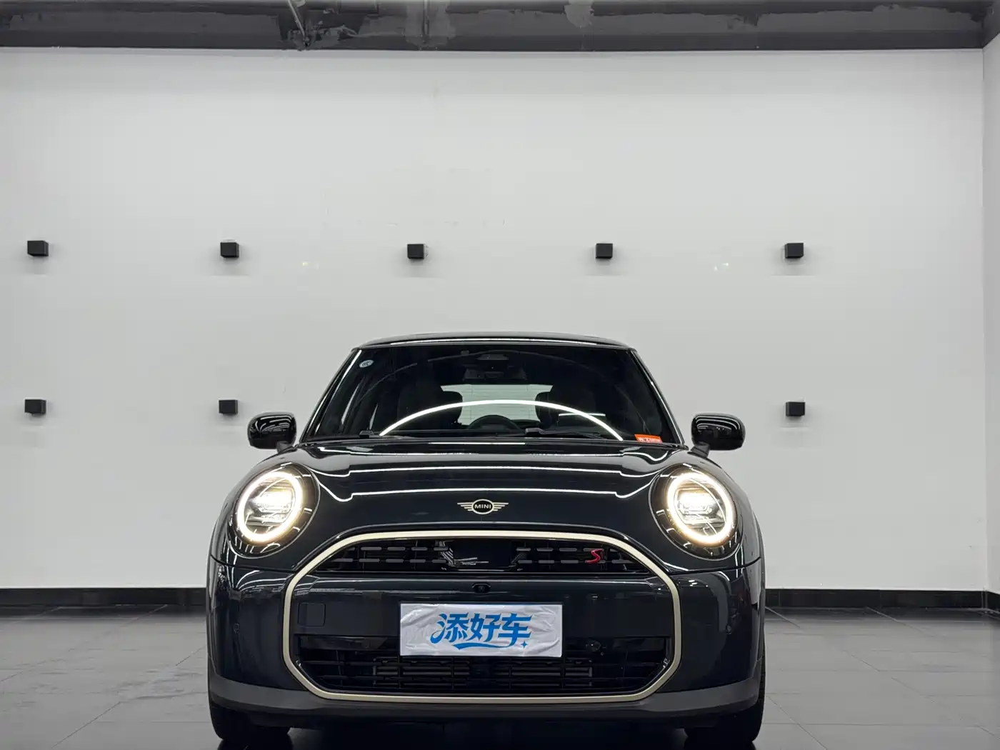 MINI MINI 2025 2025 2.0T COOPER S Artist