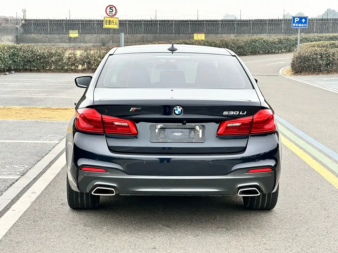 BMW 5 Series 2020 530Li Leading Luxury Package фото 7