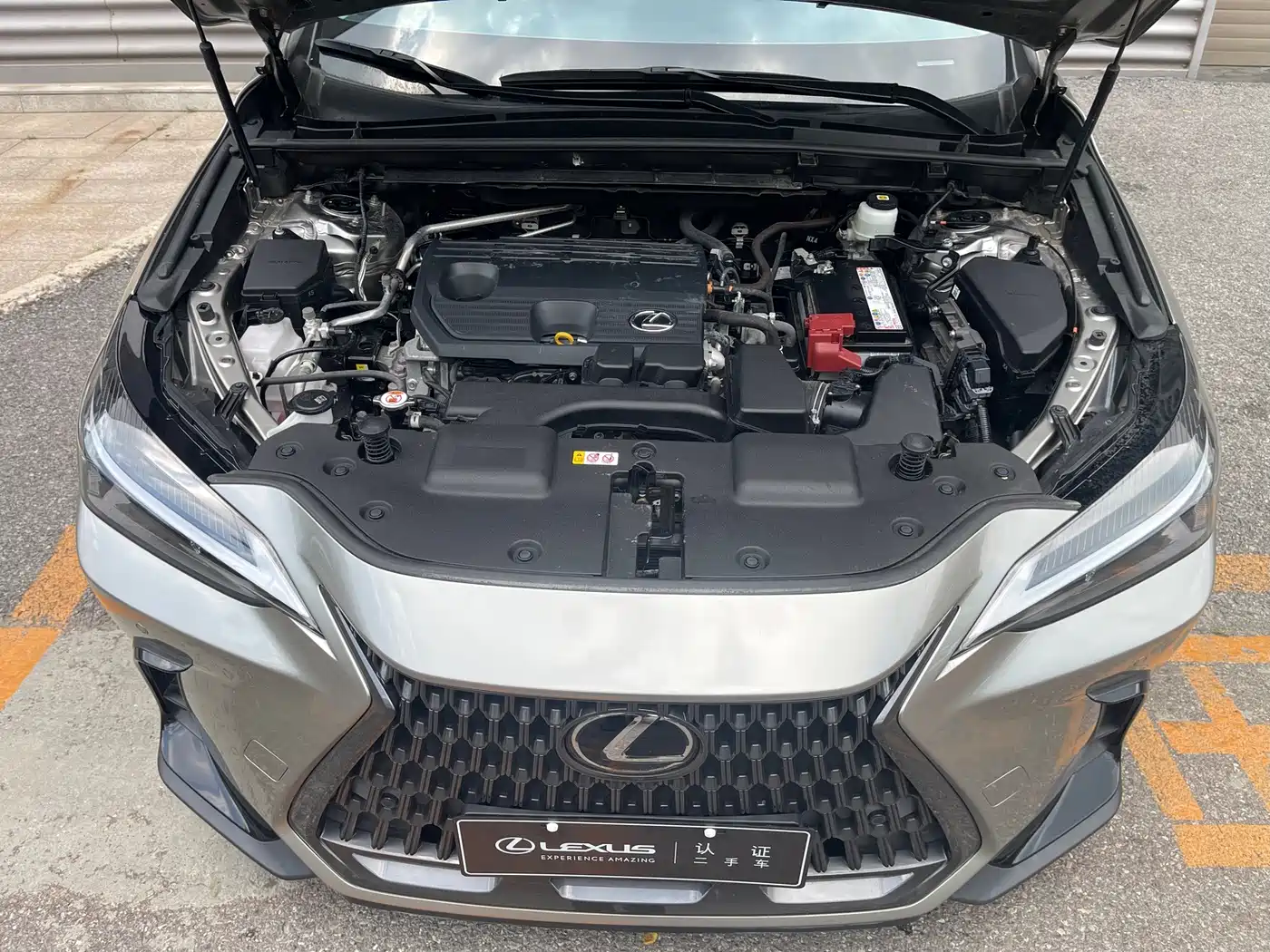Фото 8 - Lexus NX