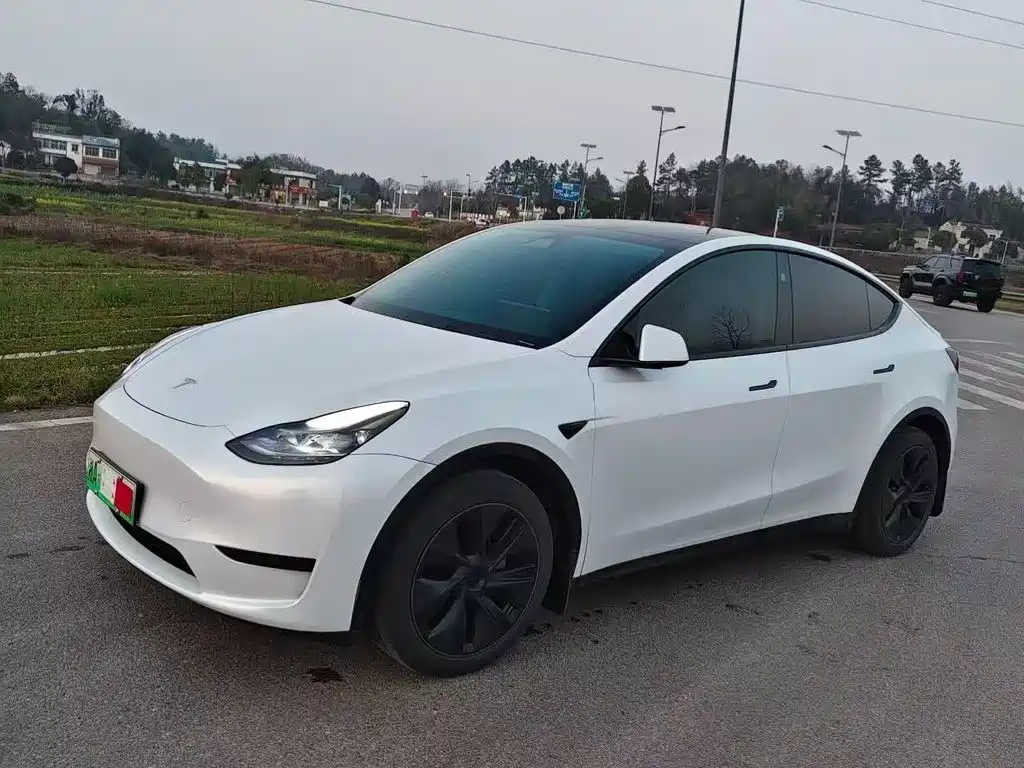 Фото 1 - Tesla Model Y