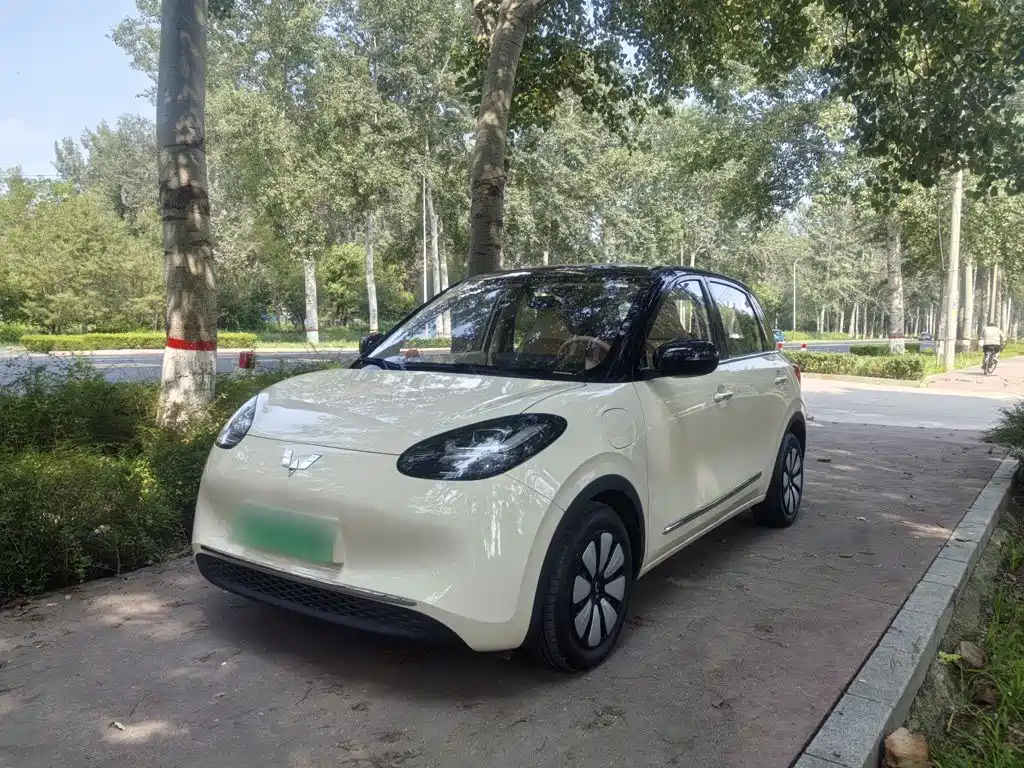 Wuling Motors Wuling Bingo 2026 2025 Model 333km Joy Edition