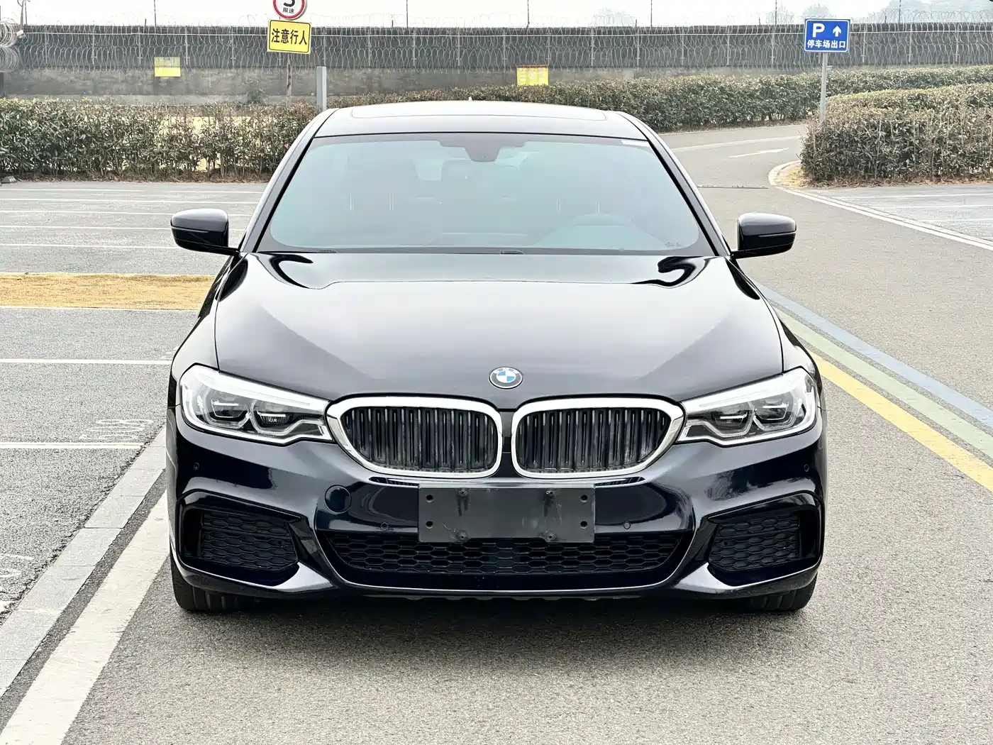 BMW 5 Series 2020 530Li Leading Luxury Package фото 2
