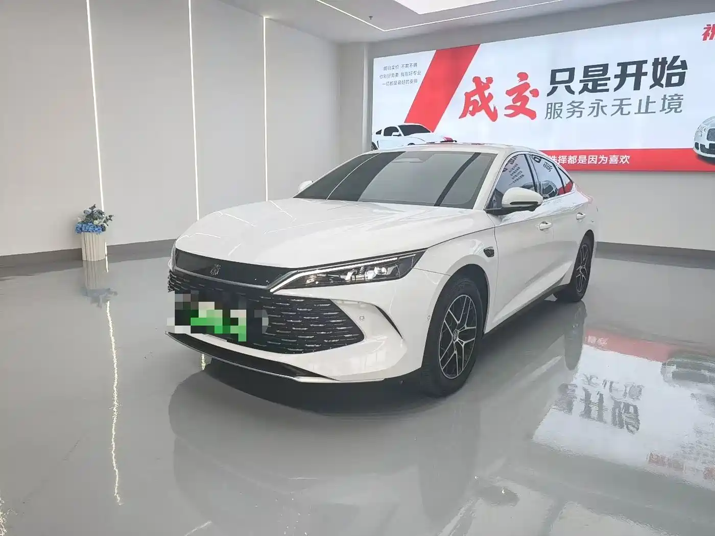 BYD Qin L 2026 Model DM-i 210KM Superior Edition
