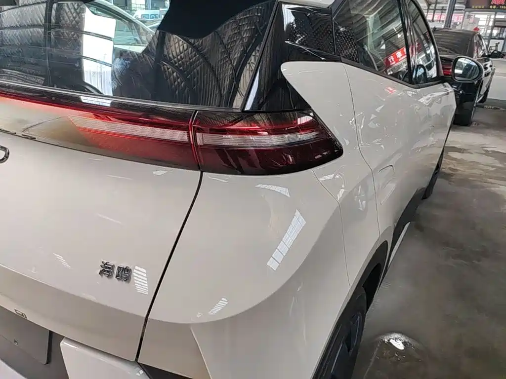 BYD Seagull 2026 2025 Smart Drive Edition 305km Vitality Version