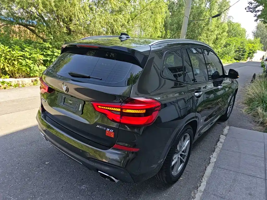 BMW X3 2018 2018 xDrive30i Leading M Sport Package China V