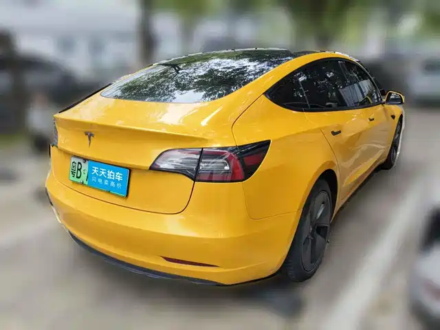 Tesla Model 3 2021 Standard Range Rear-Wheel Drive Upgrade 3D6 — фото 2