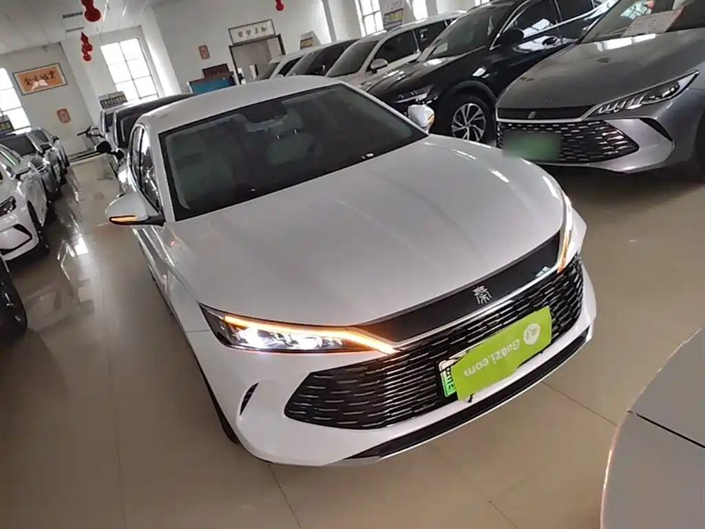 BYD Qin L 2024 DM-i 80KM Leading Edition фото 4