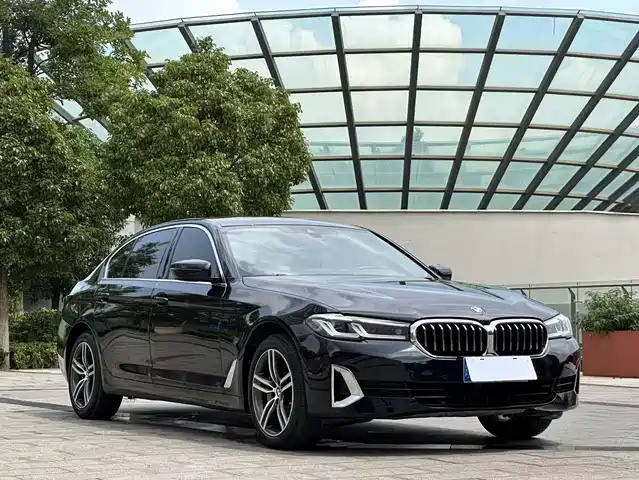 BMW 5 Series 2021 530Li Leading Luxury Package — фото 3