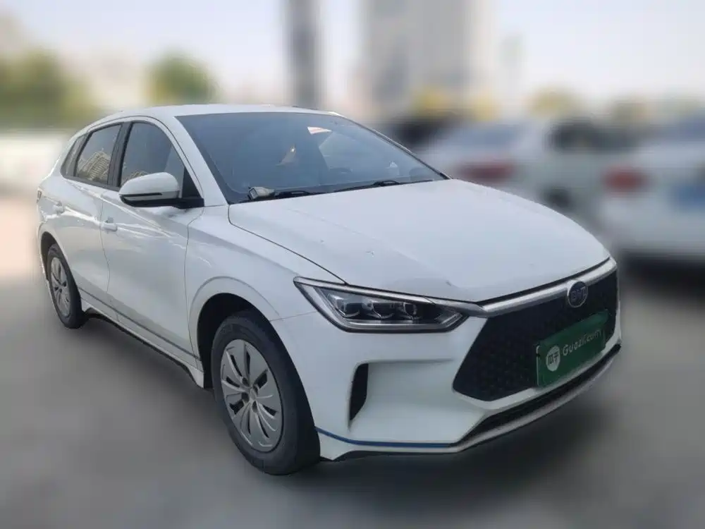 BYD e2 2021 2020 Upgrade Standard Range Standard Model
