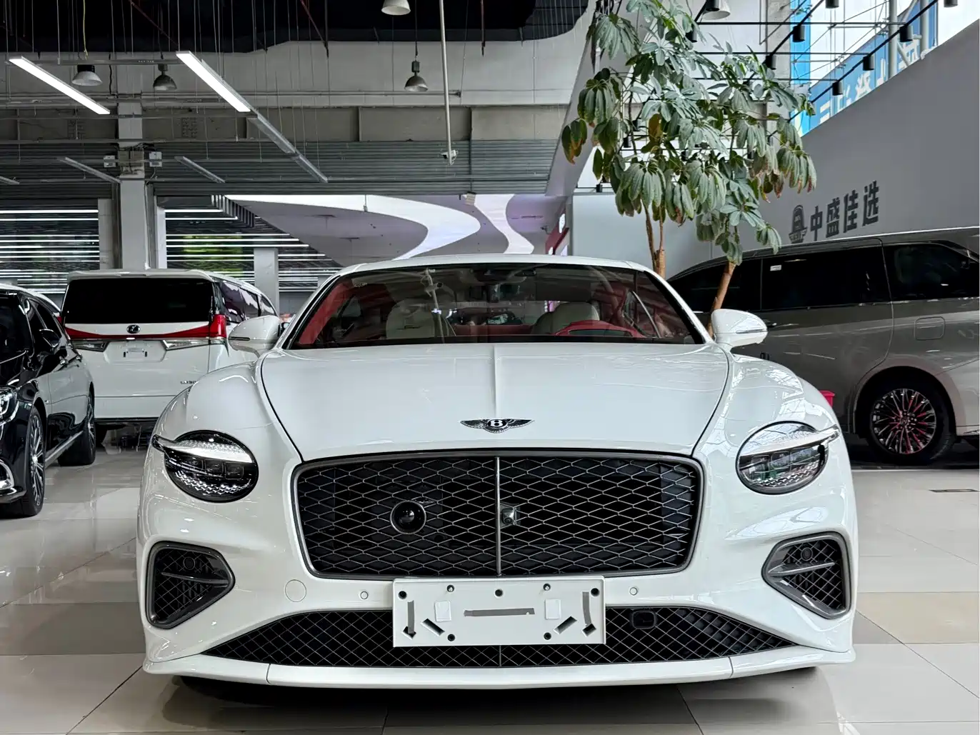 Bentley Continental Plug-in Hybrid 2025 2025 GT Ultimate Edition