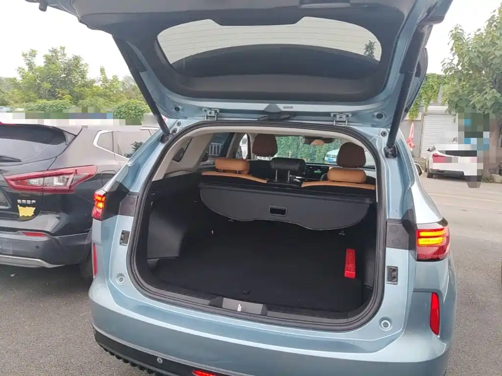 Haval H6 New Energy 2022 2023 DHT-PHEV 110KM Joy Ride Edition
