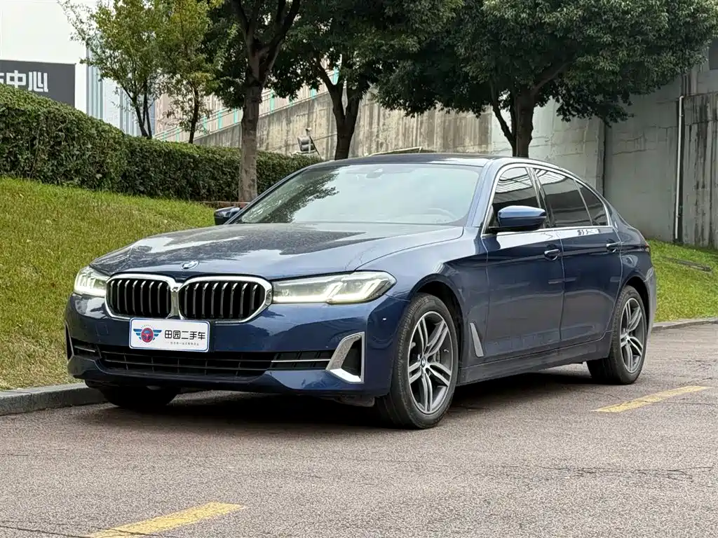 BMW 5 Series 2022 530Li Leading Luxury Package