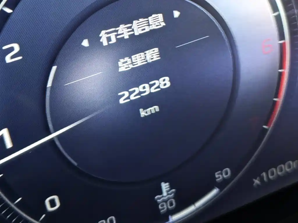 Hongqi HS5 2025 2025 2.0T 2WD Qixiang Pro