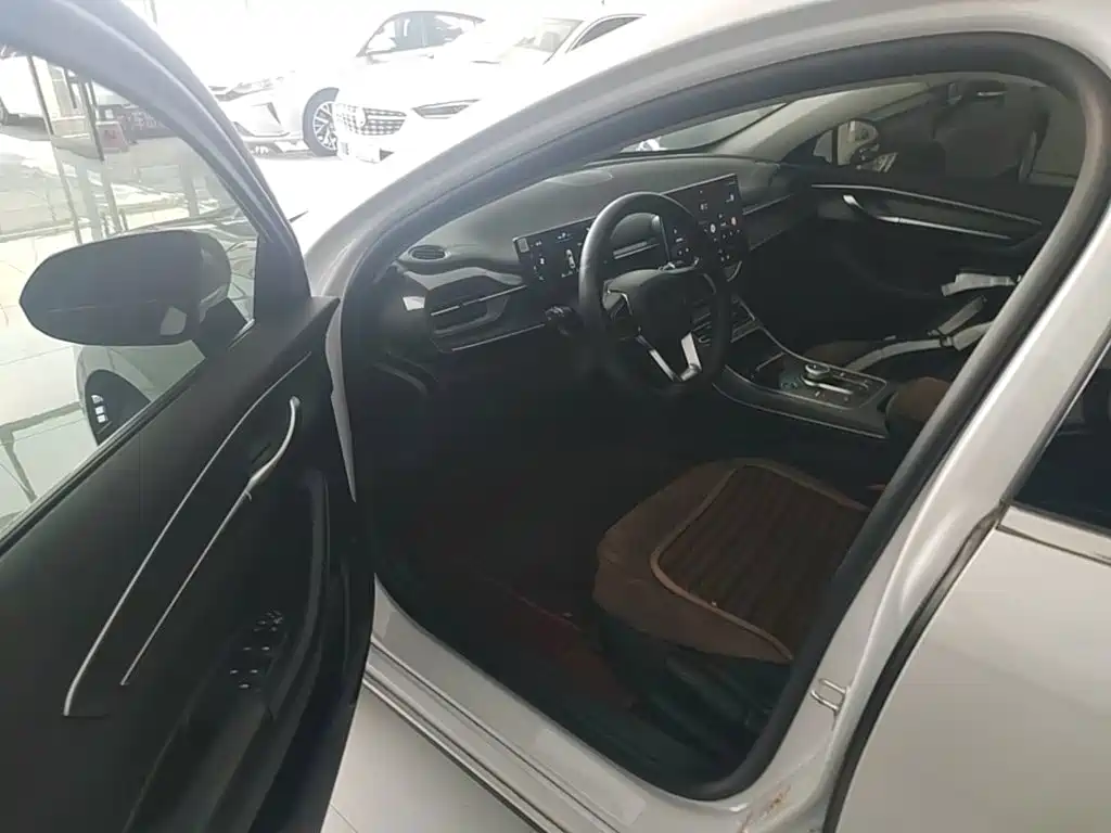 BYD Destroyer 05 2024 2024 Glory Edition DM-i 55KM Luxury