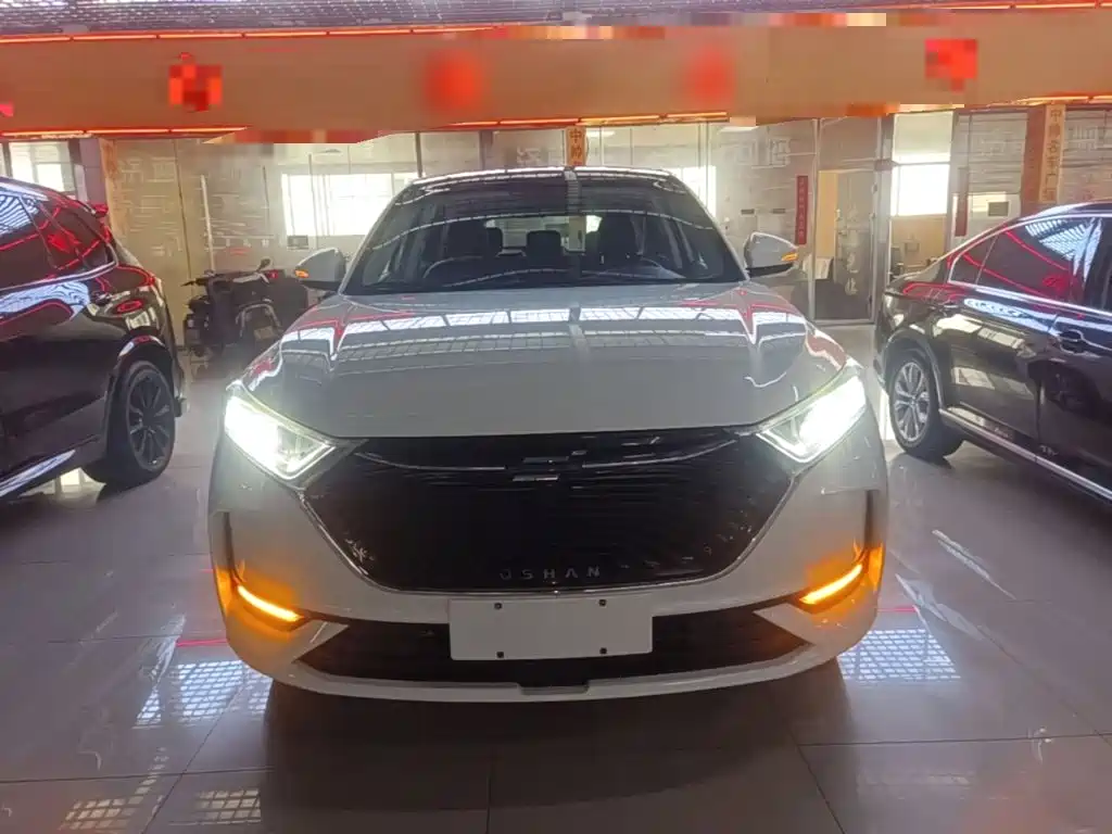 صورة 3 - Changan Oshan X7