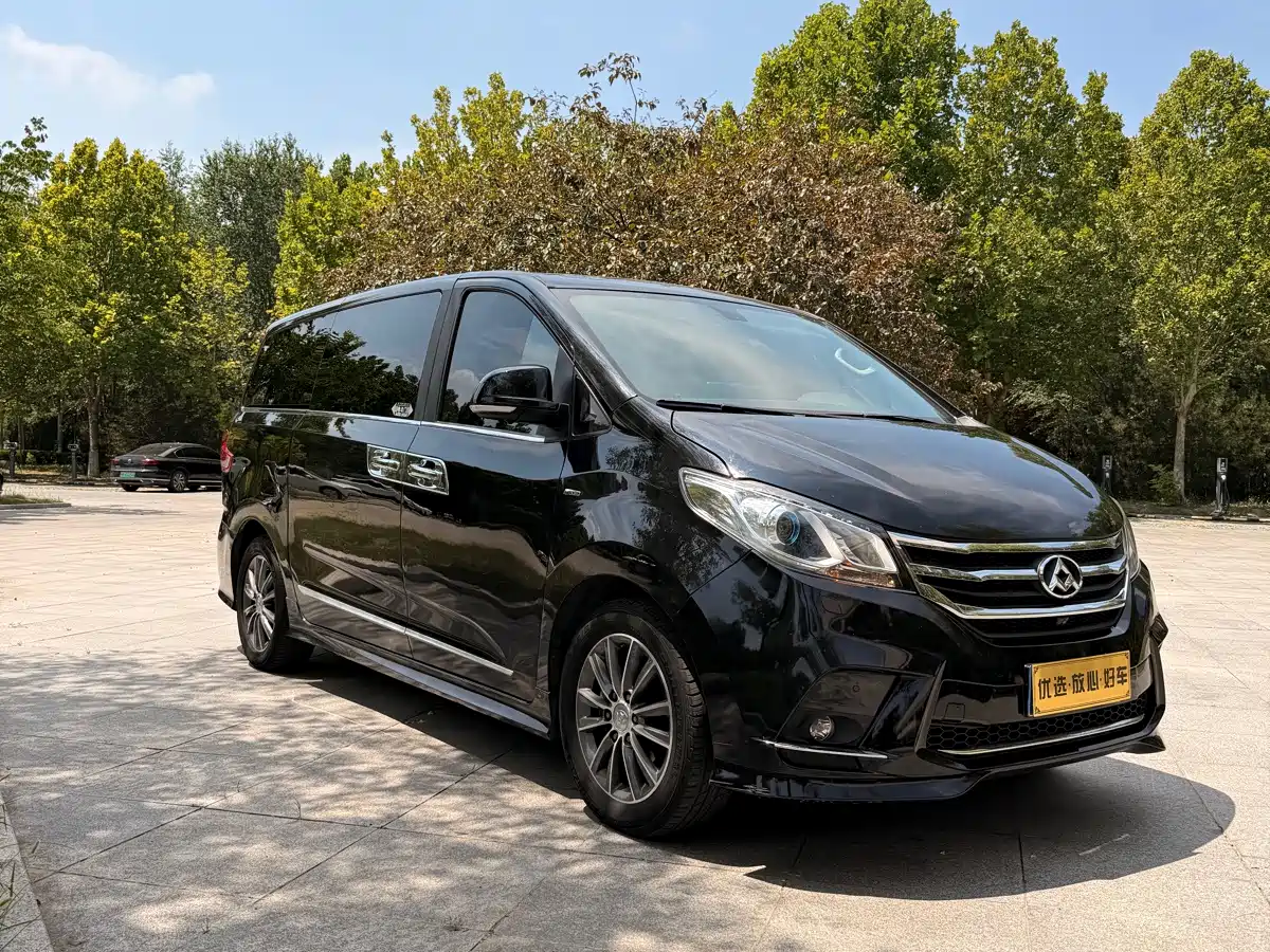 Фото 13 - SAIC Maxus Maxus G10