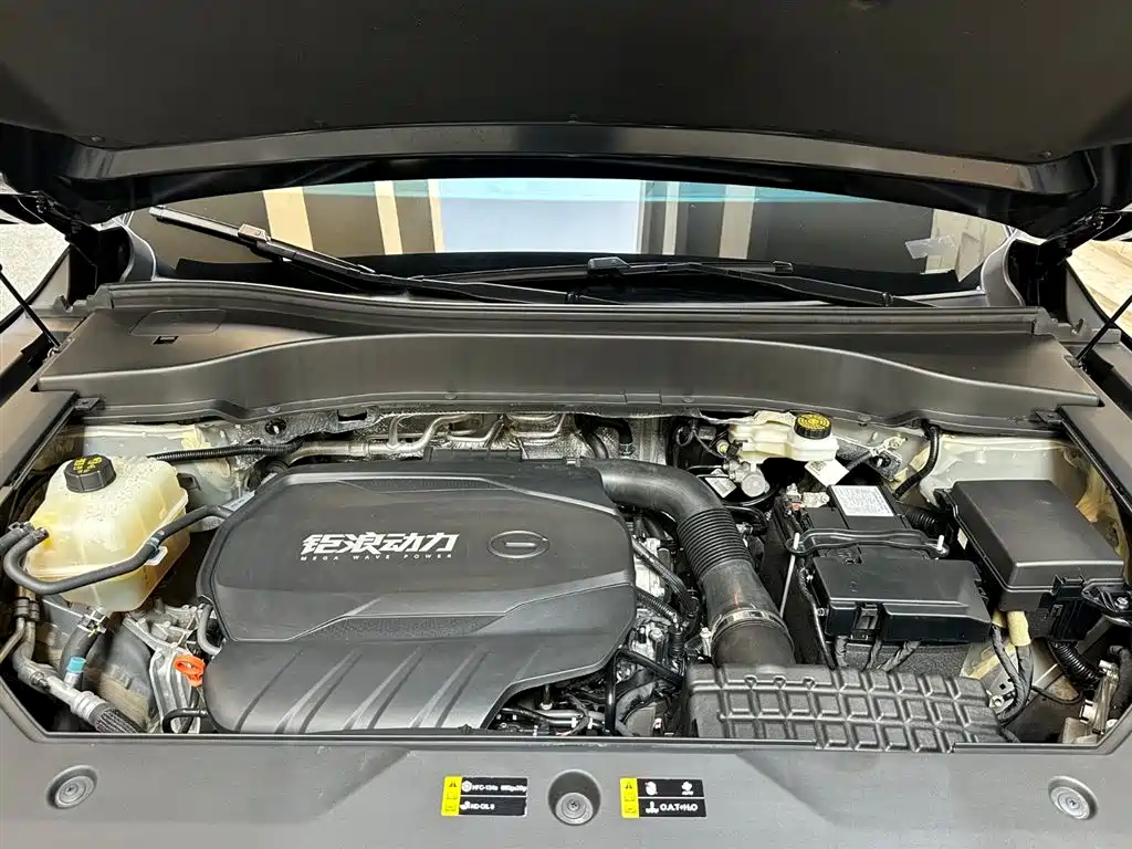 GAC Trumpchi Trumpchi GS8 2024 Navigator Series 2.0TGDI 2WD Luxury Smart Connect Edition фото 7