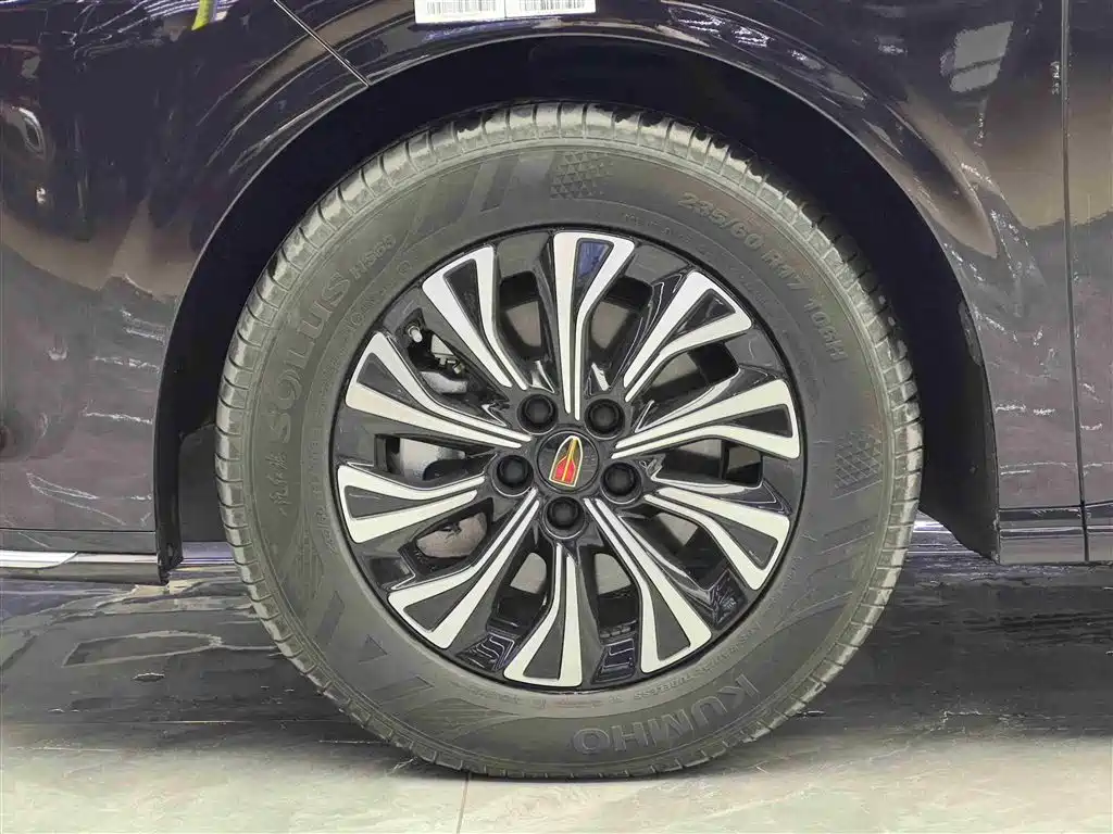 Hongqi HQ9 PHEV 2024 Model 2.0T AWD Business Edition фото 4