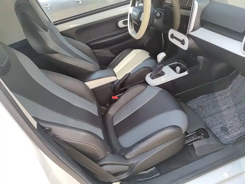 Roewe Clever 2023 2022 311km Vitality Bobo Edition