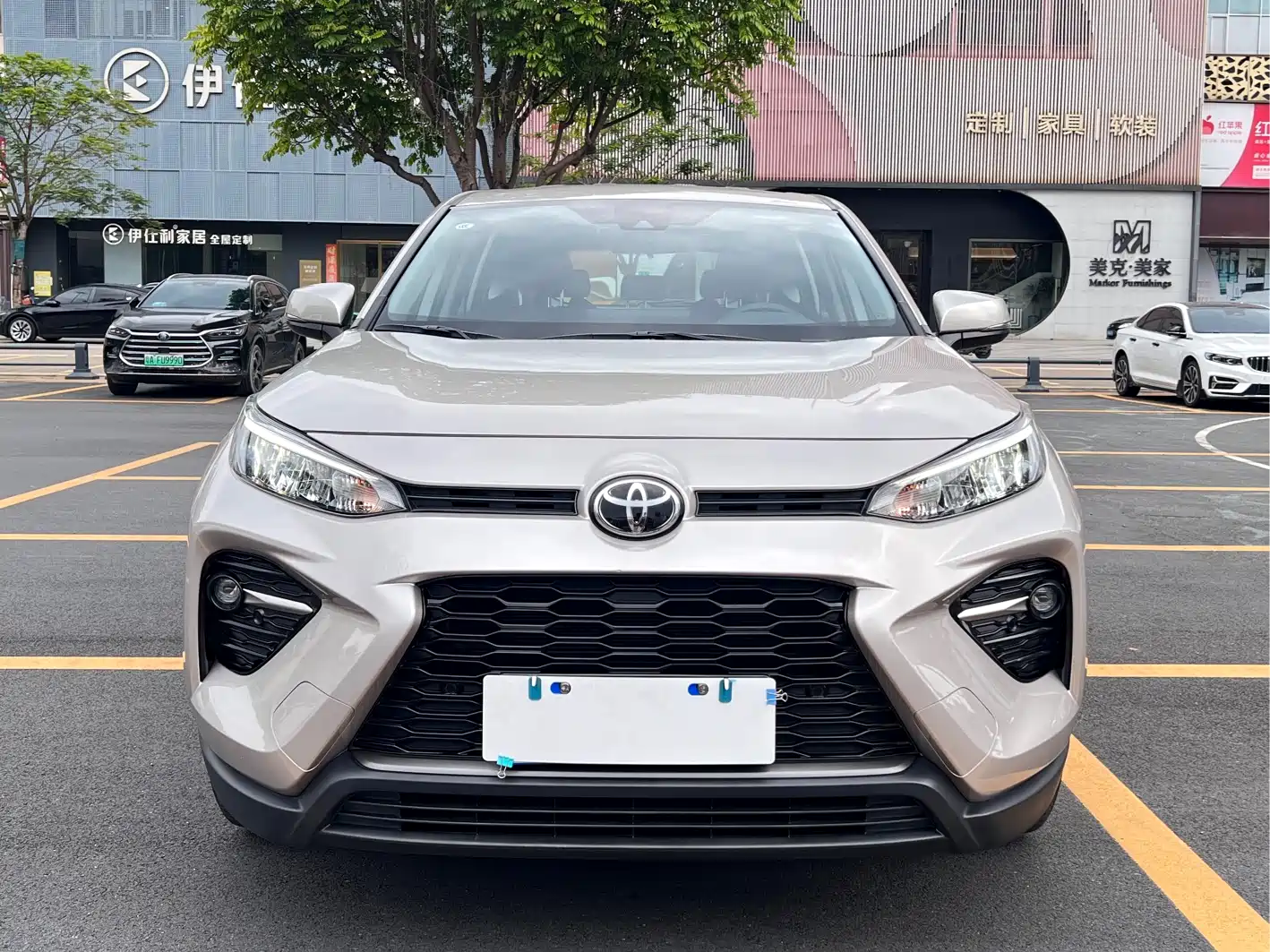 صورة 2 - Toyota Wildlander