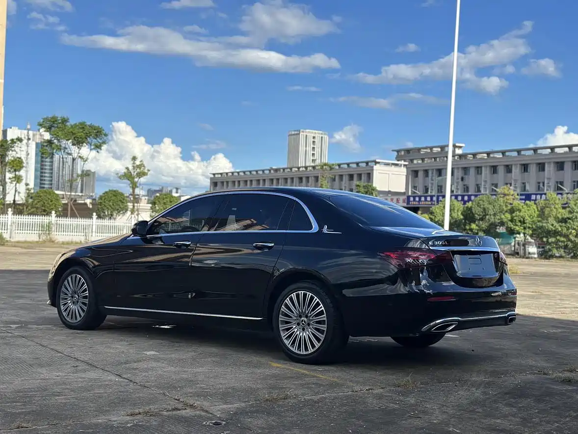 Mercedes-Benz E-Class 2023 E 300 L Luxury фото 13