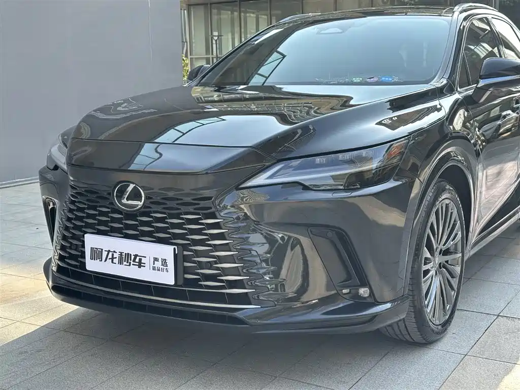 Lexus RX 2023 350h 4WD Pure Edition фото 22