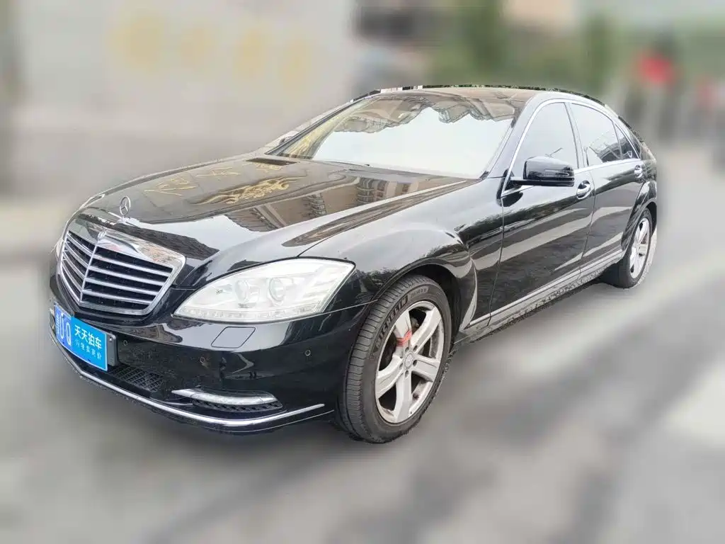 Mercedes-Benz Mercedes-Benz S-Class 2010 S 300 L Luxury