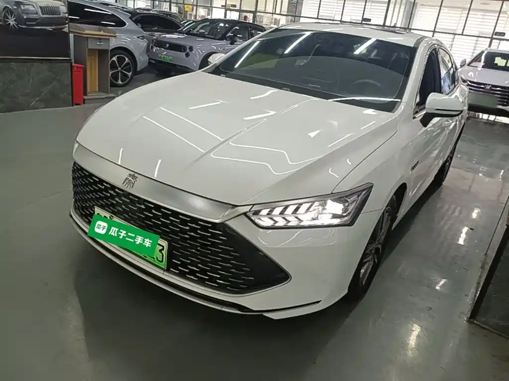 BYD Qin PLUS 2021 DM-i 55KM Flagship