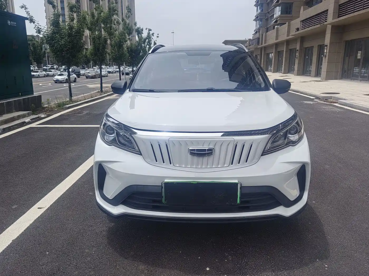 Geely Geometry EX3 Kung Fu Bull 2022 2021 Kung Fu Niu Niu