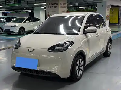 Wuling Bingo