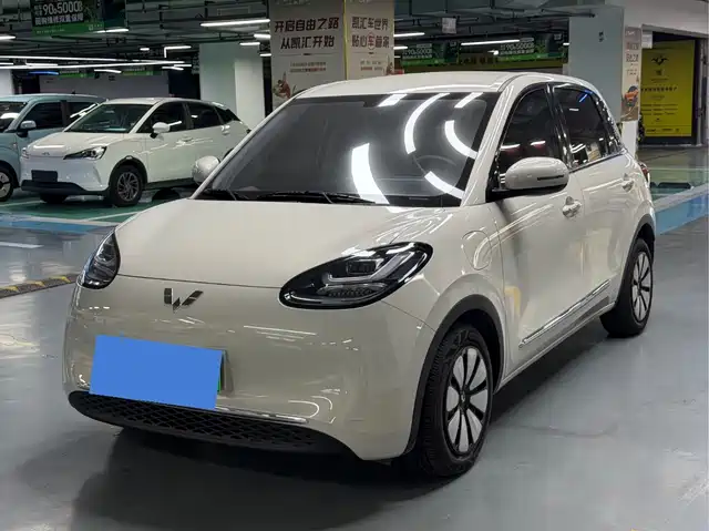 Wuling Bingo 333km, Комфорт