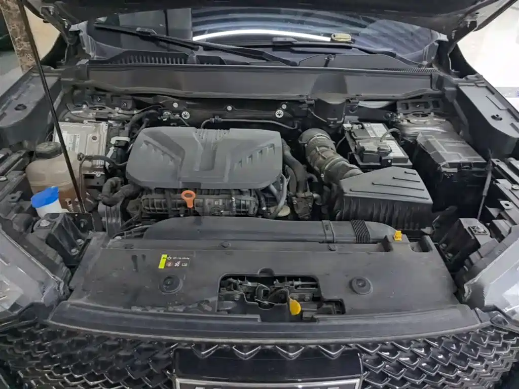 Haval H6 2021 3rd Generation 2.0T Auto 2WD Max фото 20