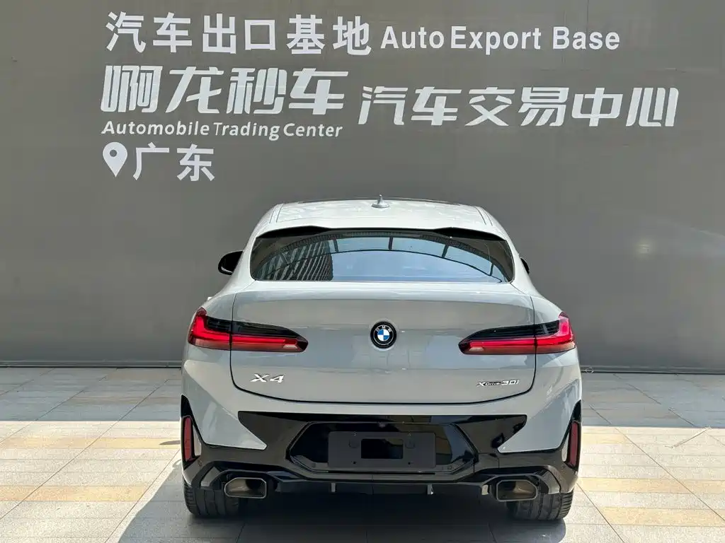 BMW X4, миниатюра 4