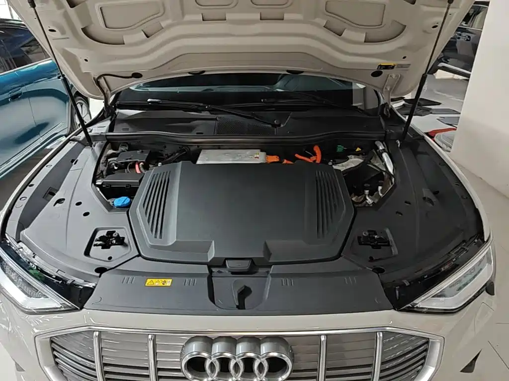 Audi e-tron (Import) 2020 2019 55 quattro Technology