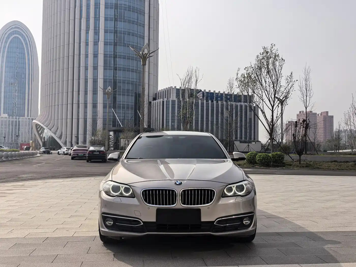BMW 5 Series 2014 525Li Luxury Design Package фото 2