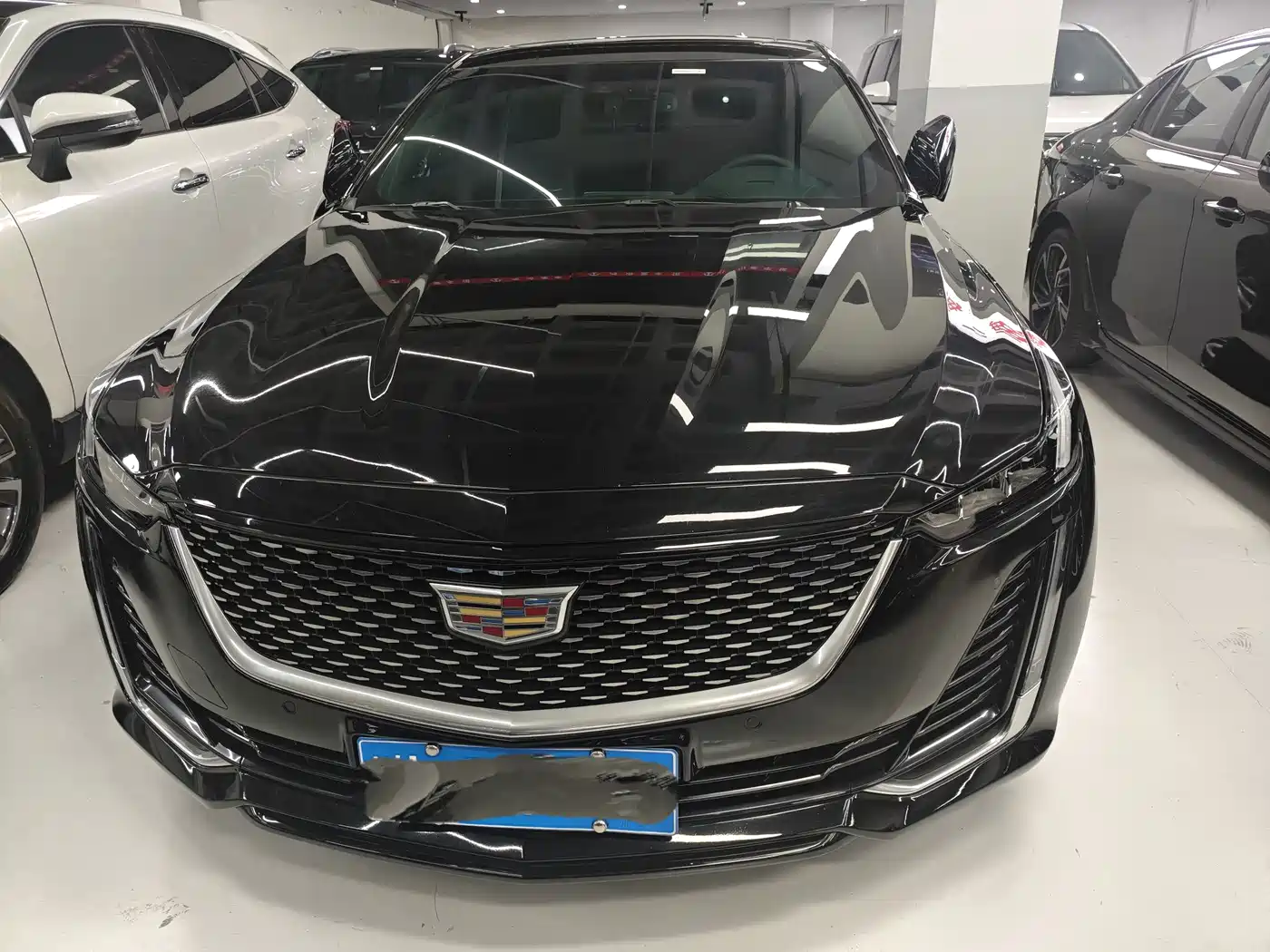 Cadillac CT5 2023 28T Fashion Style фото 2