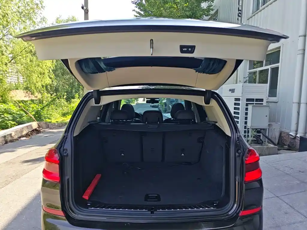 BMW X3 2018 2018 xDrive30i Leading M Sport Package China V
