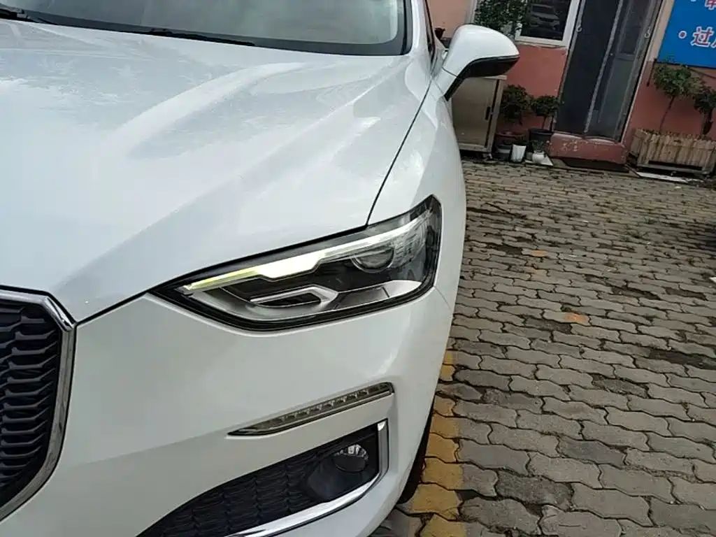 Haval F5 2019 2019 National Trend Edition 1.5T iStyle China VI