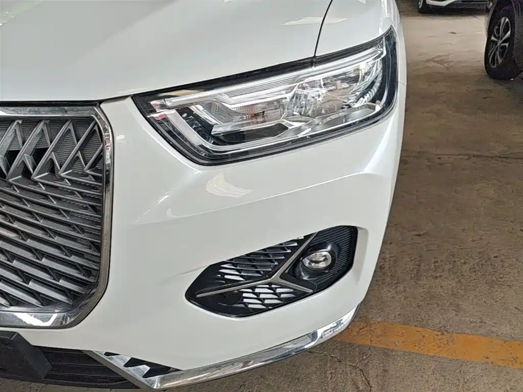 Haval H6 2021 1.5GDIT Automatic Champion Edition фото 24