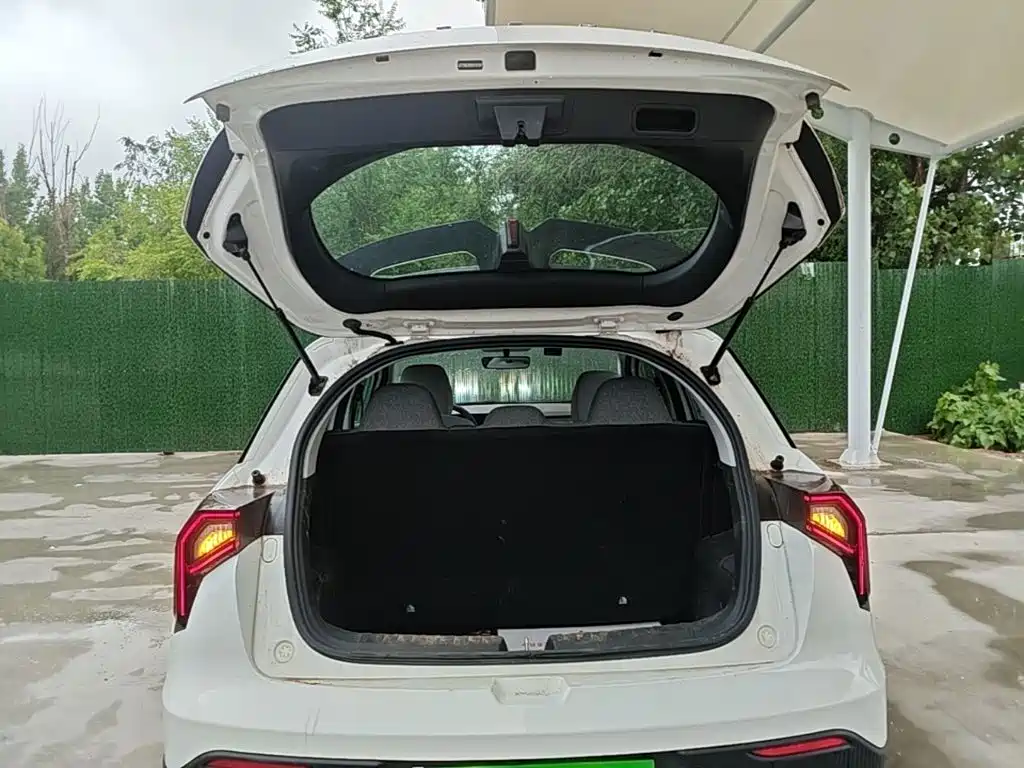 Geely Geometry E Firefly 2024 2024 Model 301km Light Flow