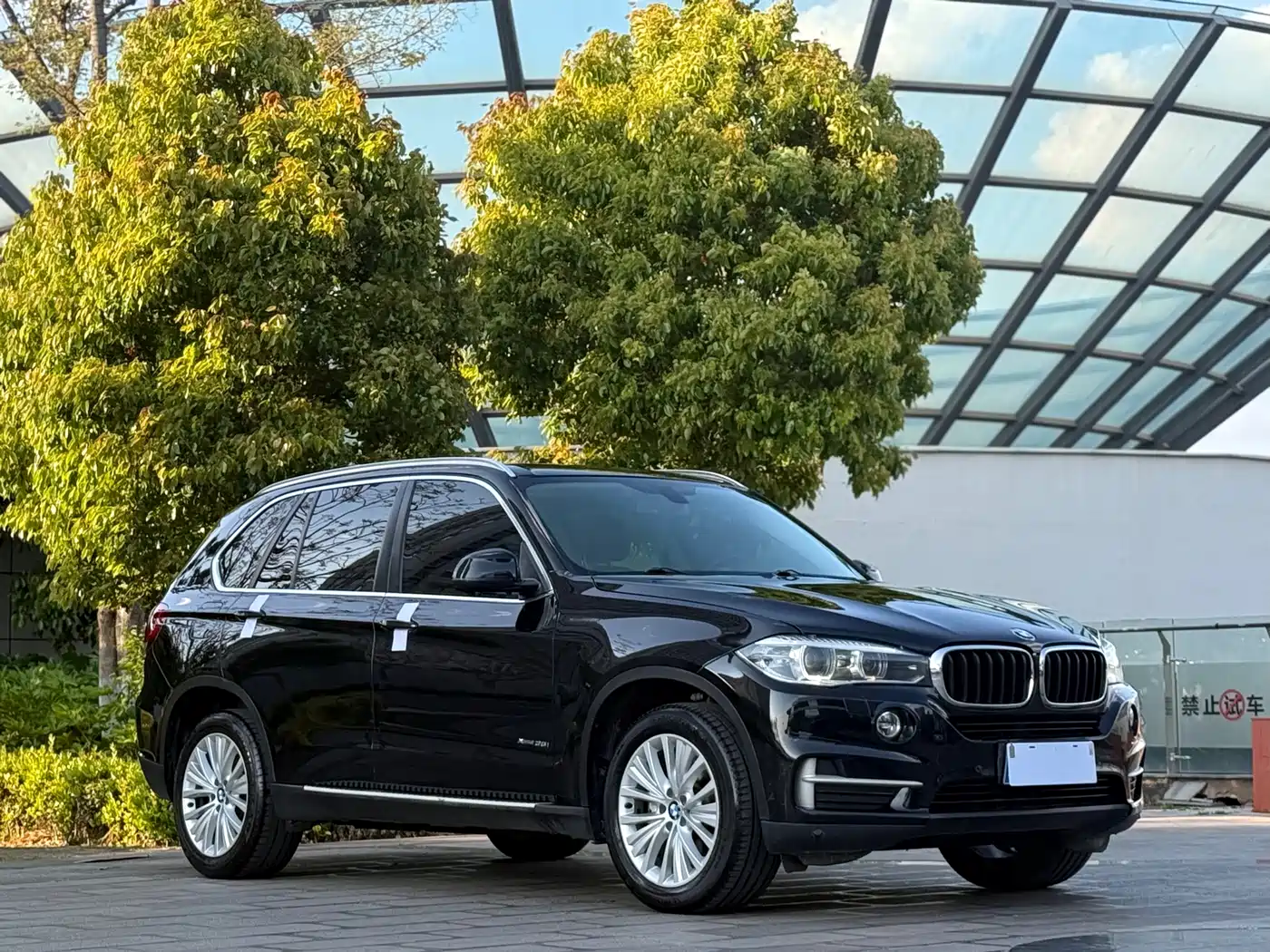 BMW X5 (Import) 2014 xDrive35i Leading фото 3