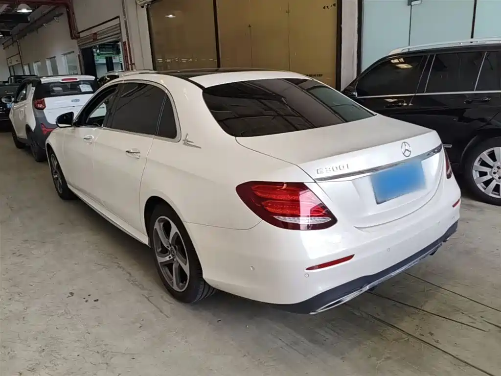 Mercedes-Benz E-Class 2019 E 300 L Sport Luxury фото 5
