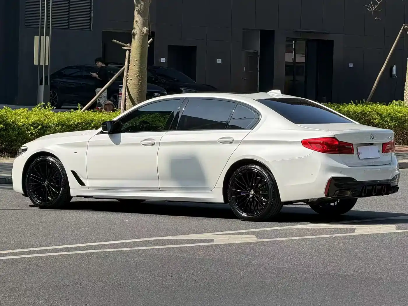 BMW 5 Series 2019 530Li Leading M Sport Package фото 7