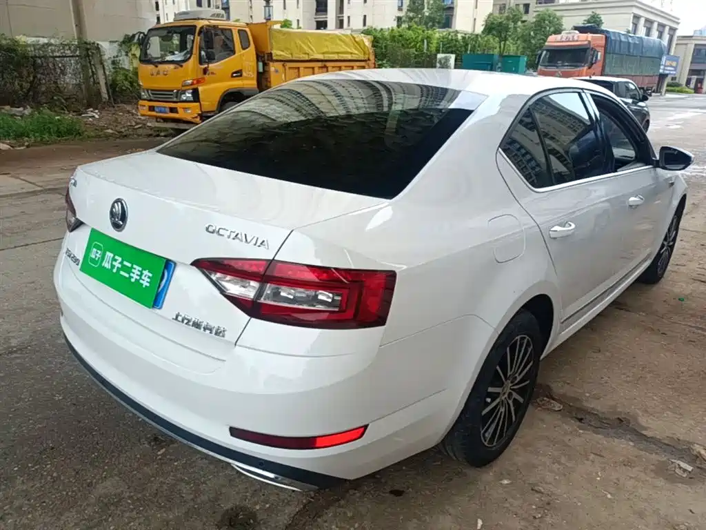 Škoda Octavia 2018 TSI230 DSG Luxury Edition фото 7